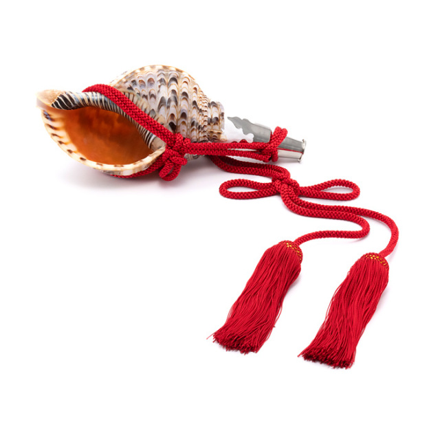 No.137 法螺貝（ほら貝） 12インチ