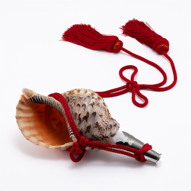 No.141 法螺貝（ほら貝） 12インチ