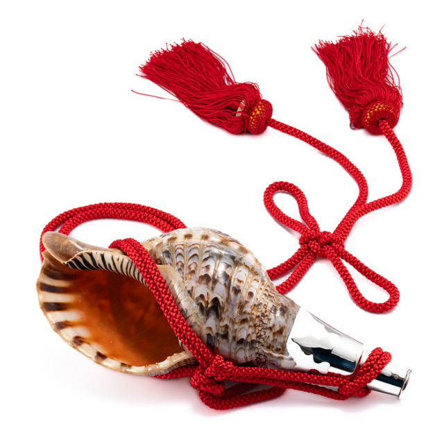 法螺貝　ホラガイ　赤紐 ホラガイ B品【27cm前後/1個】法螺貝