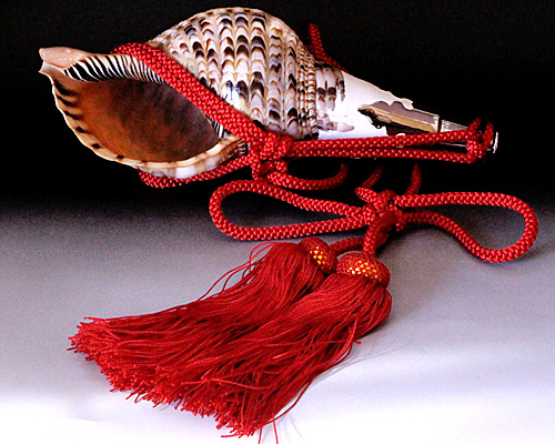 No.19 ほら貝 12インチ | 高級神棚・神具の通販なら伊勢宮忠オンライン