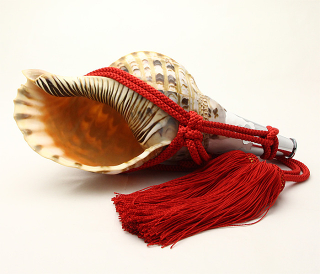 No.54 ほら貝 12インチ | 高級神棚・神具の通販なら伊勢宮忠オンライン