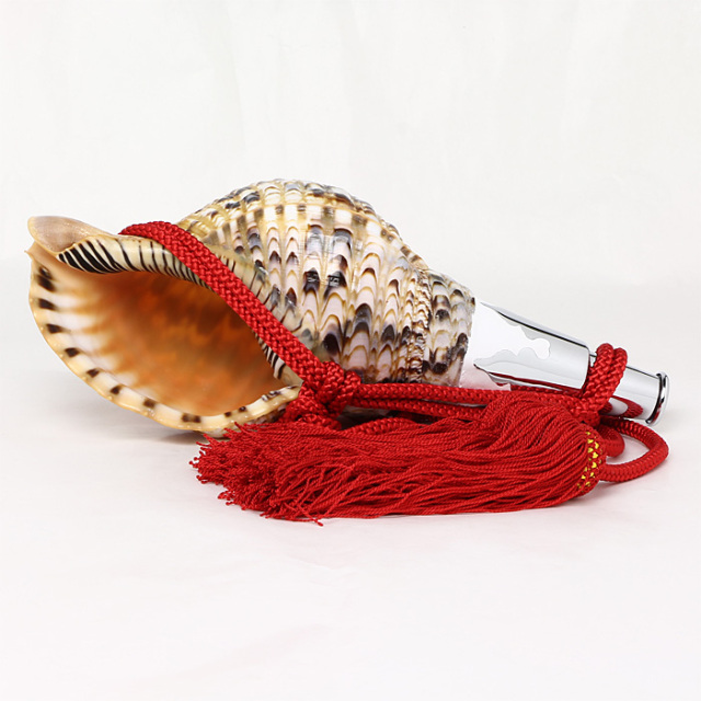 No.73 法螺貝（ほら貝） 12インチ | 高級神棚・神具の通販なら伊勢宮忠