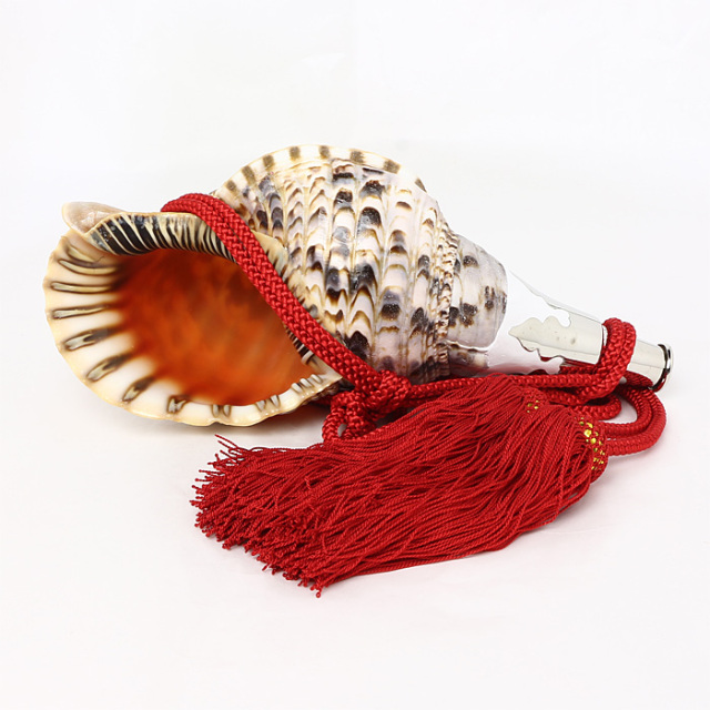 ホラ貝 No.80 法螺貝（ほら貝） 12インチ | 高級神棚・神具の通販なら伊勢宮忠