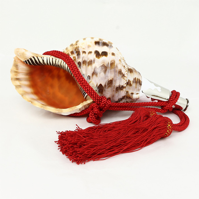 No.83 法螺貝（ほら貝） 12インチ | 高級神棚・神具の通販なら伊勢宮忠