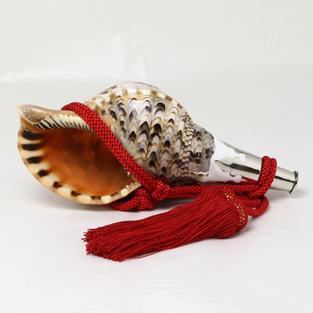 法螺貝　ほら貝　ホラガイ 法螺貝 ホラガイ ほらがい ホラ貝 ほら貝 山伏 修験道 魔除け