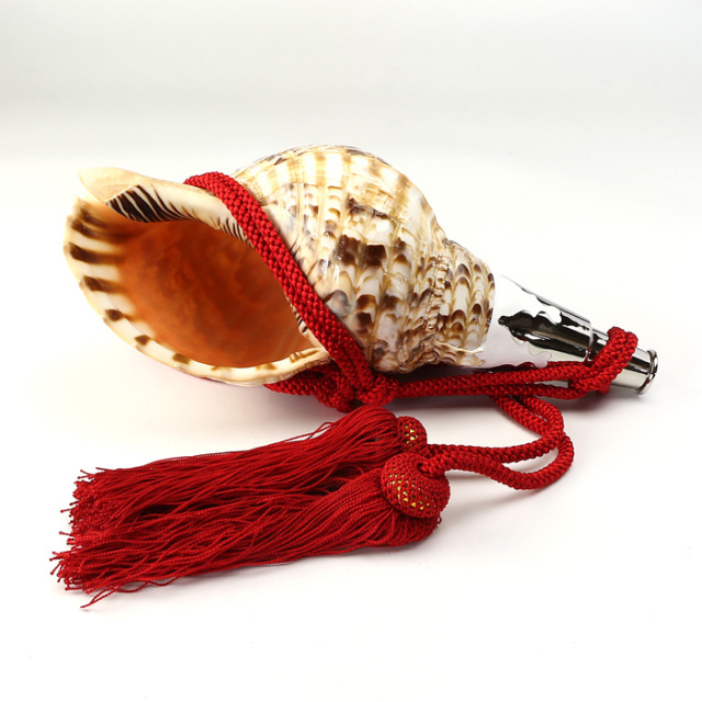 No.98 法螺貝（ほら貝） 12インチ | 高級神棚・神具の通販なら