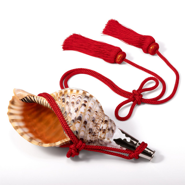 法螺貝　ホラガイ　36cm 法螺貝 34cmホラ貝 ほら貝 ほらがい 螺貝 ホラガイ 法螺貝 34cm