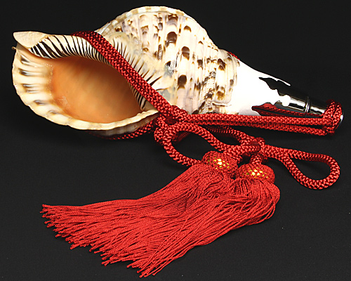 No.25 ほら貝 13インチ | 高級神棚・神具の通販なら伊勢宮忠オンライン