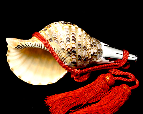 ホラ貝　33㎝　美品 三島屋楽器店 法螺貝（ホラ貝） 大 (約40センチ） 唄口付NO.44010