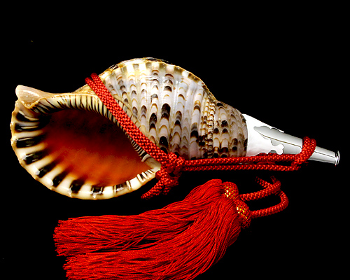 ほら貝 約26センチ No.34 ほら貝 13インチ | 高級神棚・神具の通販なら伊勢宮忠オンライン