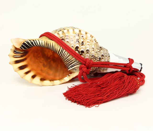 No.50 法螺貝（ほら貝） 13インチ | 高級神棚・神具の通販なら伊勢宮忠