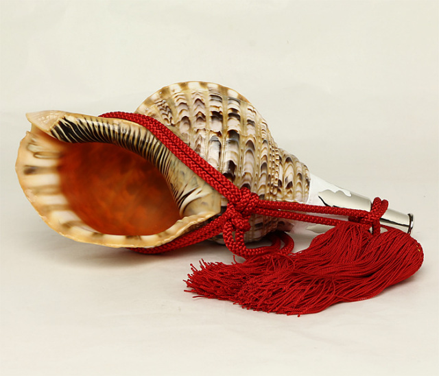 No.55 法螺貝（ほら貝） 13インチ | 高級神棚・神具の通販なら伊勢宮忠