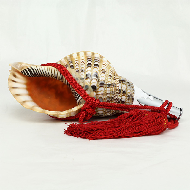 法螺貝　ＮＯ−５９
ホラ貝、和楽器、和太鼓、修験道 No.59 法螺貝（ほら貝） 13インチ | 高級神棚・神具の通販なら伊勢宮忠