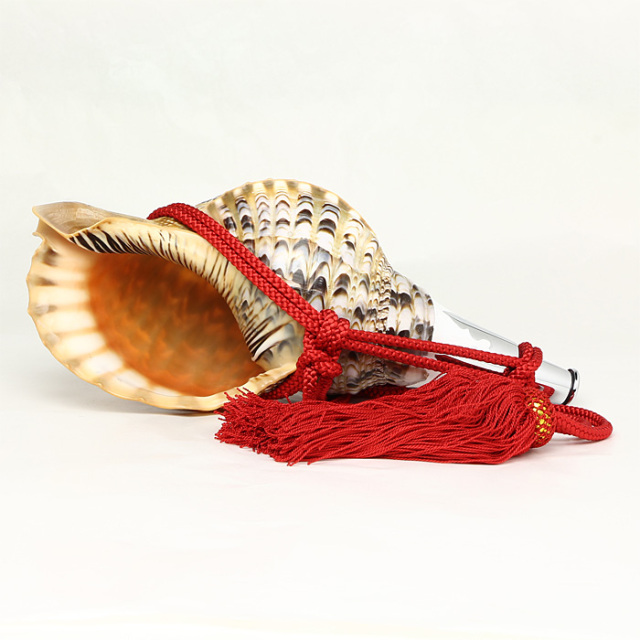 No.61 法螺貝（ほら貝） 13インチ | 高級神棚・神具の通販なら伊勢宮忠