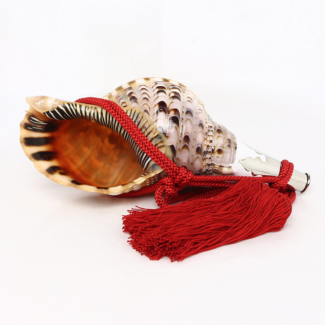 No.64 法螺貝（ほら貝） 13インチ | 高級神棚・神具の通販なら伊勢宮忠