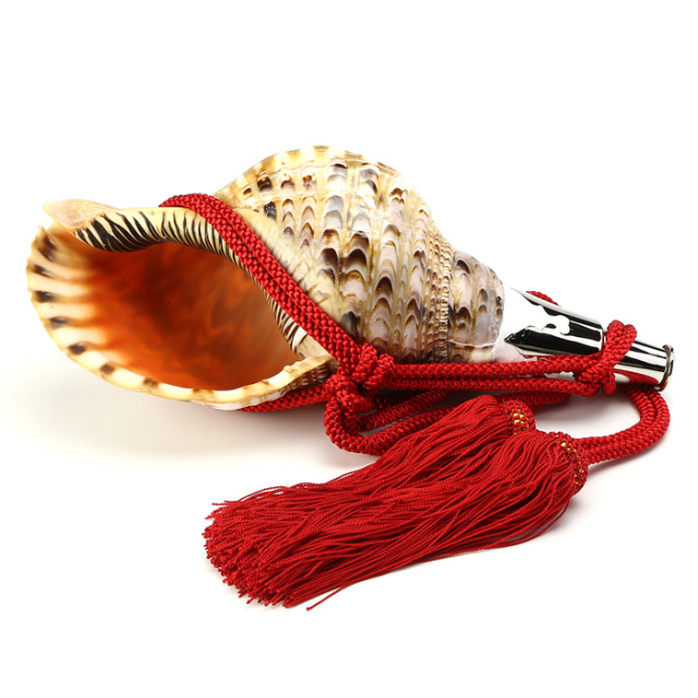 No.73 法螺貝（ほら貝） 13インチ | 高級神棚・神具の通販なら伊勢宮忠