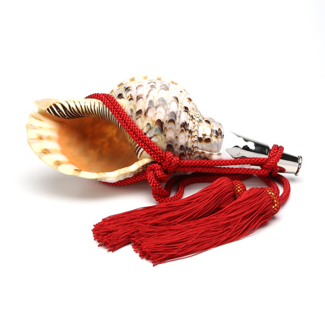 No.79 法螺貝（ほら貝） 13インチ | 高級神棚・神具の通販なら伊勢宮忠