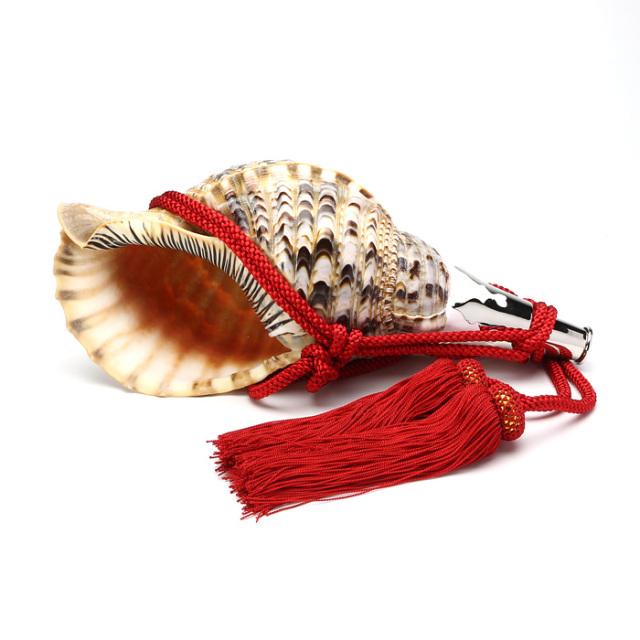 No.80 法螺貝（ほら貝） 13インチ | 高級神棚・神具の通販なら伊勢宮忠