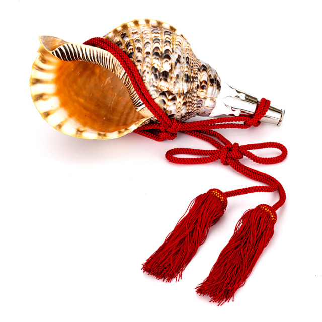 No.84 法螺貝（ほら貝） 13インチ | 神棚・神具の製造販売通販なら伊勢宮忠