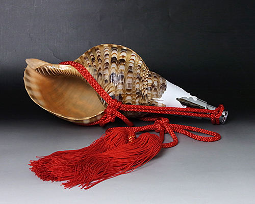 No.7 ほら貝 14インチ | 高級神棚・神具の通販なら伊勢宮忠オンライン