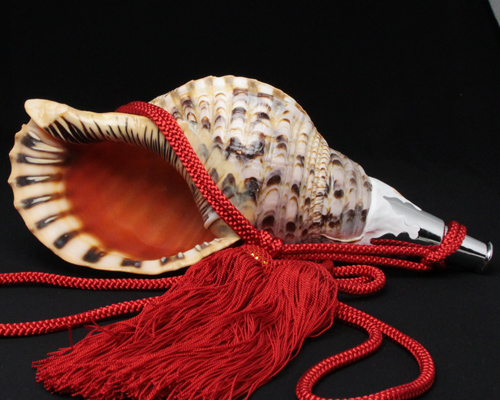 No.18 ほら貝 14インチ | 高級神棚・神具の通販なら伊勢宮忠オンライン