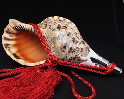 No.19 ほら貝 14インチ | 高級神棚・神具の通販なら伊勢宮忠オンライン