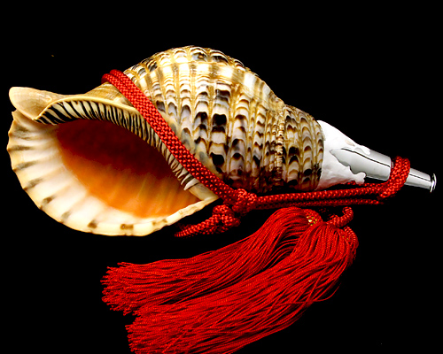 No.23 ほら貝 14インチ | 高級神棚・神具の通販なら伊勢宮忠オンライン