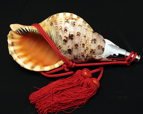 No.28 ほら貝 14インチ | 高級神棚・神具の通販なら伊勢宮忠オンライン