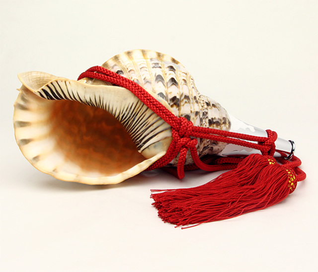 No.37 法螺貝（ほら貝） 14インチ | 高級神棚・神具の通販なら伊勢宮忠