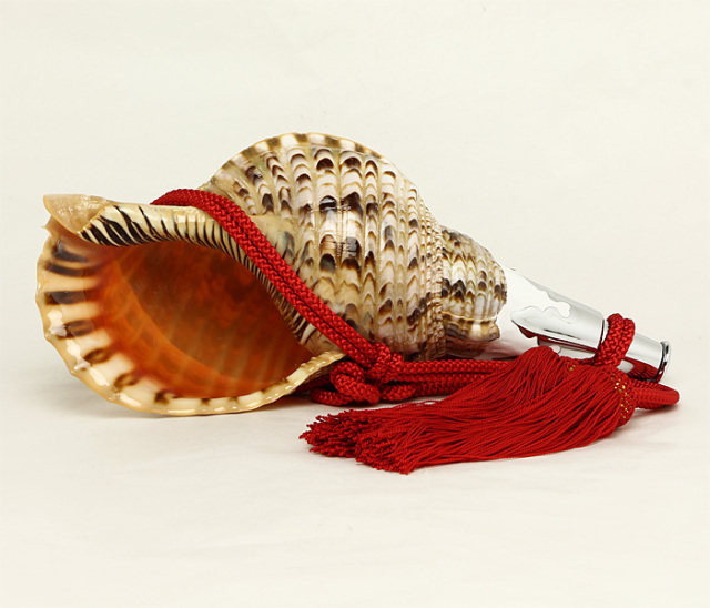 法螺貝　ほら貝 No.40 法螺貝（ほら貝） 14インチ | 高級神棚・神具の通販なら伊勢宮忠