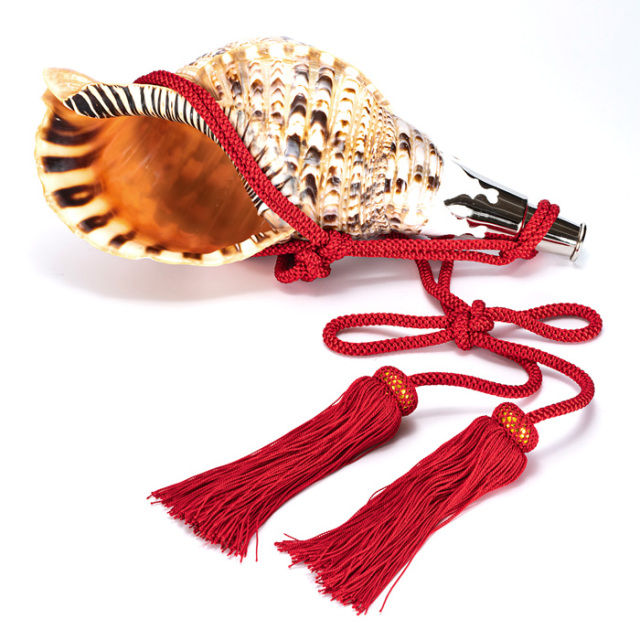 No.53 法螺貝（ほら貝） 14インチ | 高級神棚・神具の通販なら伊勢宮忠