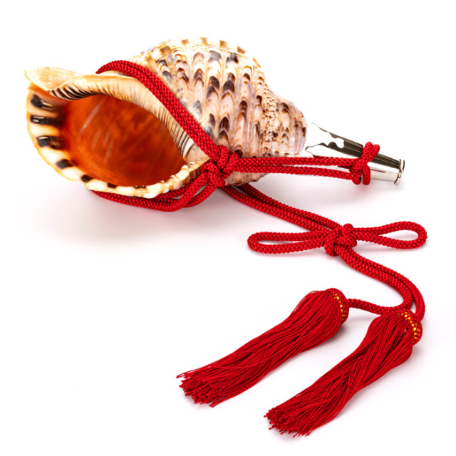 法螺貝　ＮＯ５７
ホラ貝、和楽器、和太鼓、修験道 No.57 法螺貝（ほら貝） 14インチ | 高級神棚・神具の通販なら伊勢宮忠