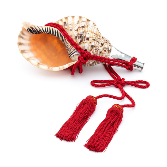 法螺貝　ホラ貝 No.68 法螺貝（ほら貝） 14インチ | 神棚・神具の製造販売通販なら伊勢宮忠