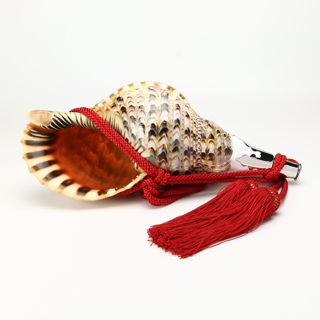 No.36 法螺貝（ほら貝） 15インチ | 高級神棚・神具の通販なら伊勢宮忠