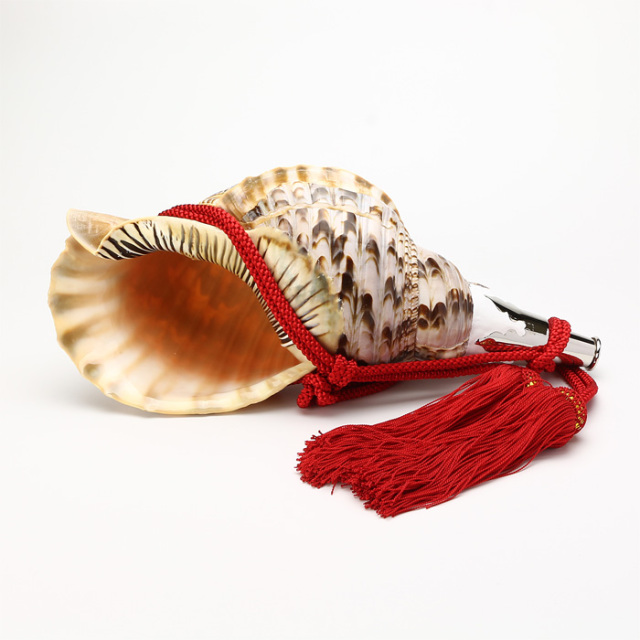 No.37 法螺貝（ほら貝） 15インチ | 高級神棚・神具の通販なら伊勢宮忠