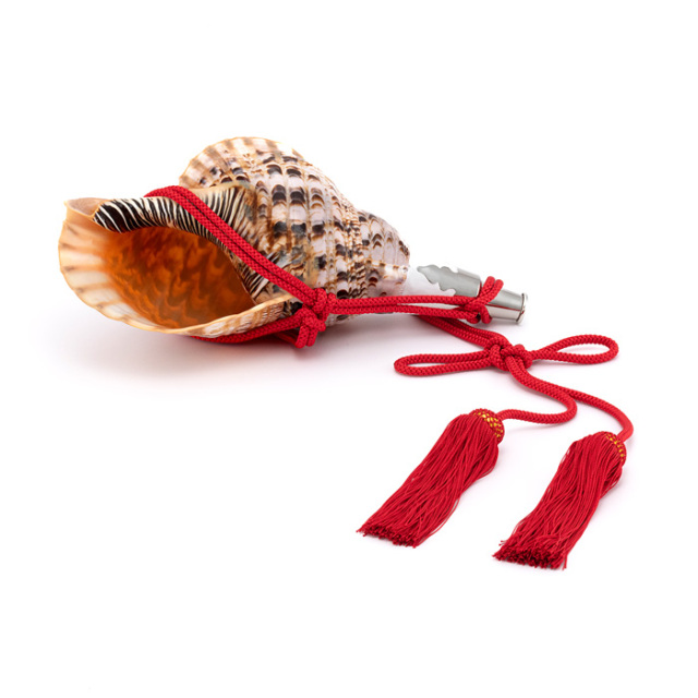 法螺貝 ほら貝 ホラ貝 38cm 1.5キロ　特大 沖縄 法螺貝 ほら貝 ホラ貝 38cm 1.5キロ 特大 沖縄 法螺貝 ほら貝