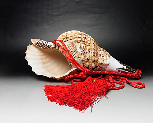 訳あり】No.9 ほら貝 16インチ | 高級神棚・神具の通販なら伊勢宮忠