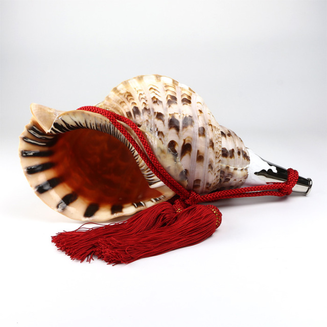 No.13 法螺貝（ほら貝） 大型 | 高級神棚・神具の通販なら伊勢宮忠