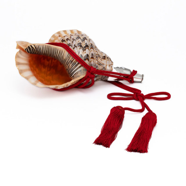 No.15 法螺貝（ほら貝） 大型