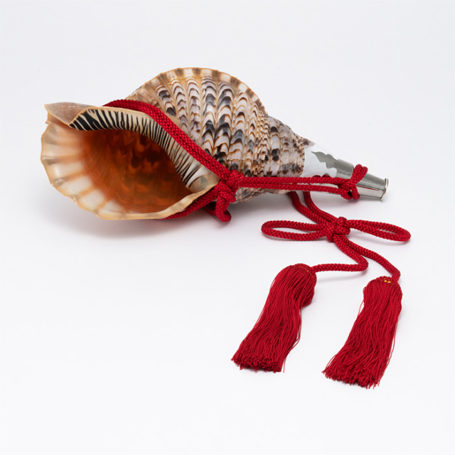 No.16 法螺貝（ほら貝） 大型