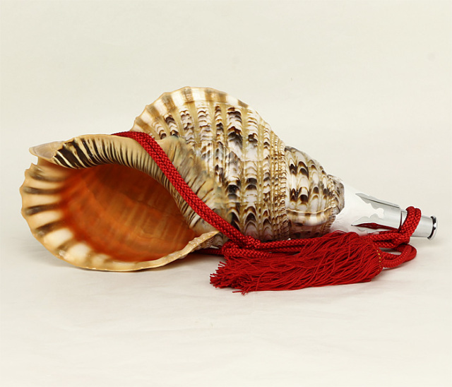 No.2 法螺貝（ほら貝） 大型 | 高級神棚・神具の通販なら伊勢宮忠