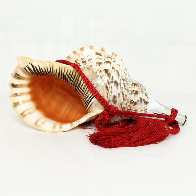 大型天然法螺貝 ほら貝 ホラガイ No.4 法螺貝（ほら貝） 大型 | 高級神棚・神具の通販なら伊勢宮忠
