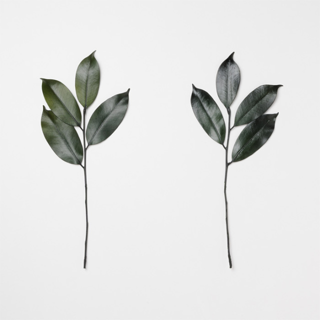 【送料無料】プリザーブド 榊 一枝榊立て （国産） 1対