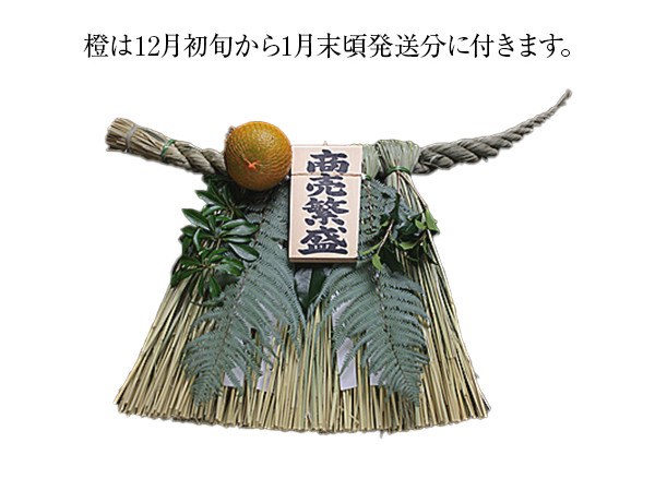 伊勢しめ縄（玄関用） 特大 青物付 商売繁盛