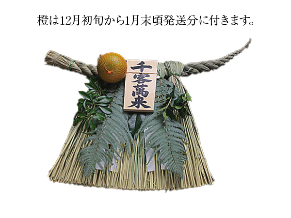 伊勢しめ縄（玄関用） 特大 青物付 千客万来