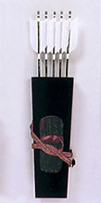 ss-gpym-00-300-2