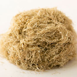 伊勢音特撰・天然・とろろ昆布・ミネラル豊富・食物繊維豊富