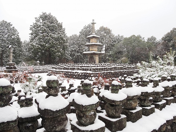 石塔の思想・技術・デザインを学ぶ近江石造美術ツアーを実施しました！