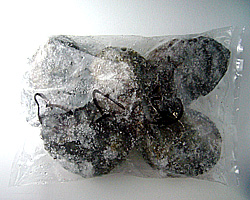 石鯛釣り用　アワビ１