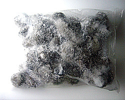 石鯛釣用　ウニ